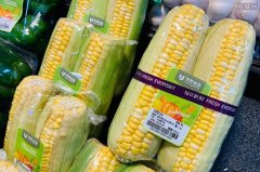<b>玉米大涨每斤2.12元 全球粮价上涨7亿农民注意了</b>