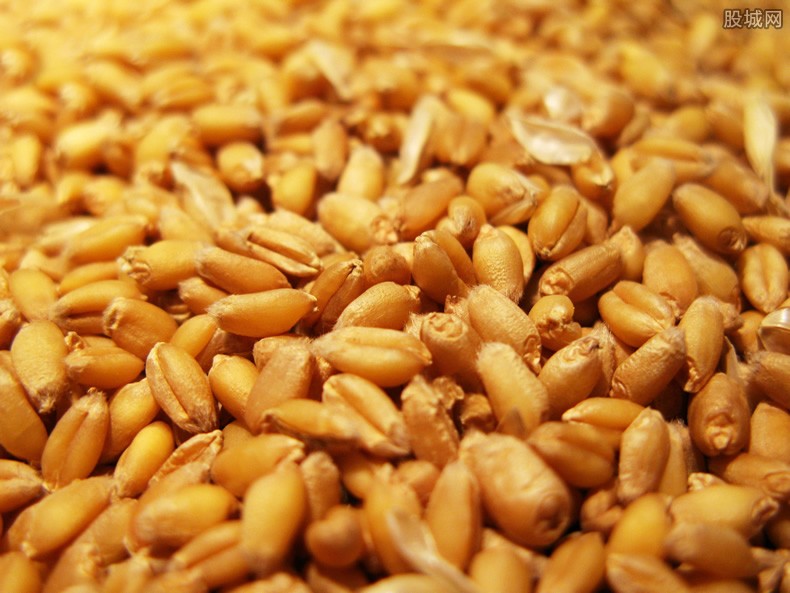 巴基斯坦宣布进口俄罗斯小麦天然气